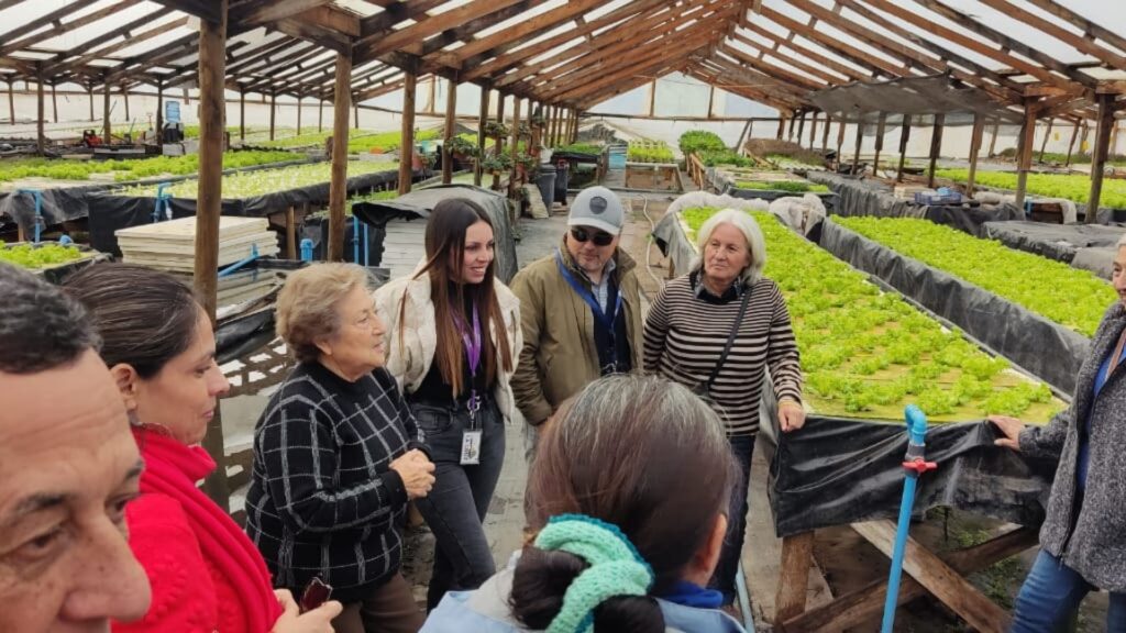 Grupo de mujeres agricultoras de Curicó visitan Región de Valparaíso para aprender técnica de cultivo hidropónico